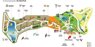 Kart park quş